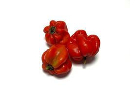 Habanero red chili. Red hot chili peppers on a white background, closeup of photo