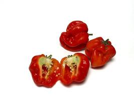 Habanero red chili. Sliced red hot chili peppers on a white background photo