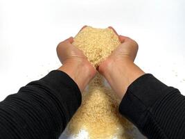 Female hands holding parboiled rice on a white background. Isolated. Close up. photo