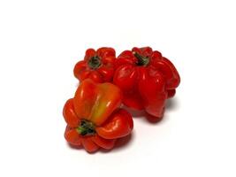 Habanero red chili. Red hot chili peppers on a white background, closeup of photo