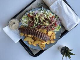 Kebab with French fries and salad on a plate in a restaurant photo
