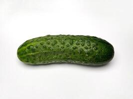 Fresh short cucumber isolated on white background photo