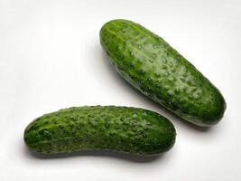 Fresh short cucumber isolated on white background photo