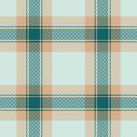 Plaid seamless pattern. Check fabric texture. textile print. vector