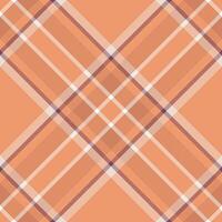Plaid pattern . Check fabric texture. Seamless textile design for clothes, paper print. vector