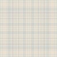 Tartan plaid pattern seamless. Print fabric texture. Check background. vector