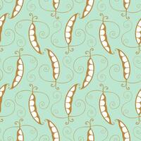 Pattern with branch of Pea pods gold contour , on green pastel background. vector