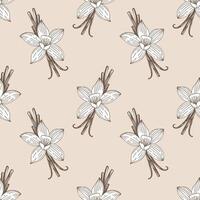 Spice aromatic pattern with vanilla flowers and pods on light pink background. vector