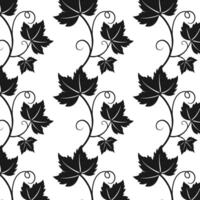 Grape vine with leaves pattern, dark vine silhouette on white background. vector