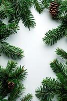 Christmas tree branches vertical frame isolated white background. Winter holidays decoration. photo