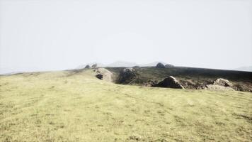 Green meadow on the background of the mountains video