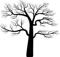 Silhouette Of Dry And Dead Tree Branches In Autumn vector