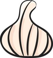 A garlic bulb on a white background vector