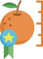 An orange with a star and a ruler next to it vector
