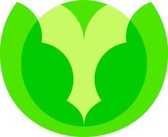 A green leaf with a white background vector