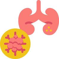 A human kidney and a virus vector