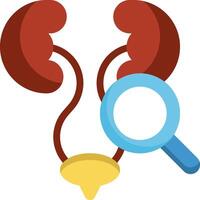 An illustration of a kidney and magnifying glass vector