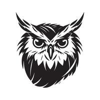 illustration of owl bird with white background vector