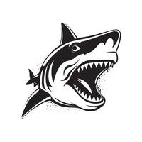 Charming Shark Icon on White Background vector