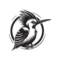 Modern Graphic illustration of kingfisher bird vector