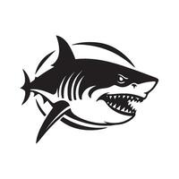 Cartoon Shark Icon with White Background vector