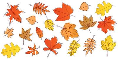 Set of bright autumn leaves. Background for textile or book covers, wallpaper, design, graphics, printing, hobby, invitation. . vector