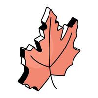 Editable design icon of maple leaf vector