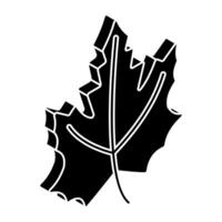 Editable design icon of maple leaf vector
