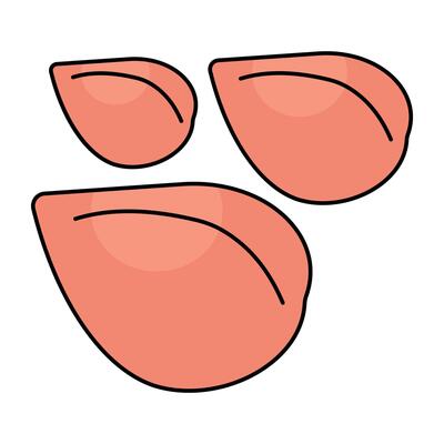 Modern design icon of almond