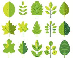 Green leaf icons set vector