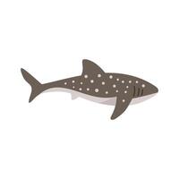 Whale shark swimming underwater with open mouth side view vector