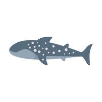 Whale shark swimming underwater with open mouth vector