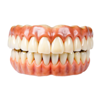 A model of a tooth with missing teeth png