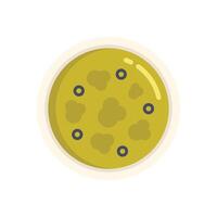Petri dish with colonies of bacteria growing in culture medium vector