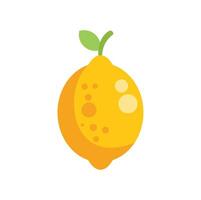 Yellow lemon showing citrus fruit concept vector