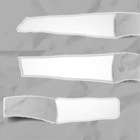 Empty Torn Paper Frame Background Collection vector