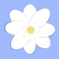 White flower on blue background vector