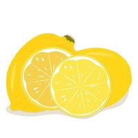 Whole and sectioned citrus fruit lemons on white background vector