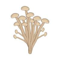 illustration of enoki mushroom vector