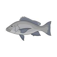 illustration of snapper fish vector