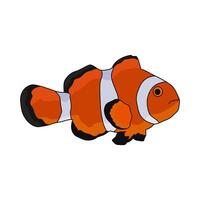 illustration of clown fish vector