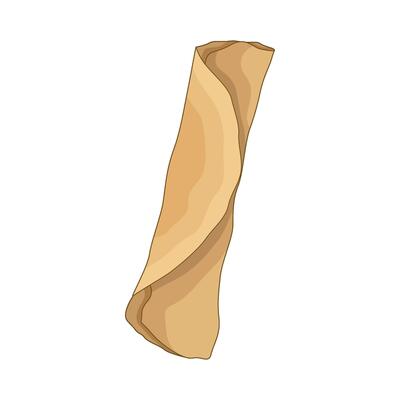 illustration of spring rolls