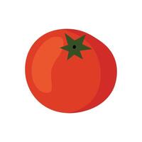 Red flat illustration of a tomato isolated on white background vector