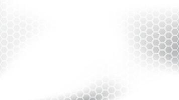 Abstract white and gray color, modern design stripes background with geometric hexagonal shape. illustration. vector