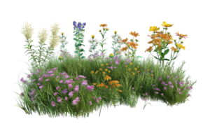 A large field of flowers is shown in this image png