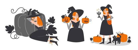 Set of Characters with Witch in Black Attire and Pumpkin Collection for Halloween vector