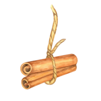 Two cinnamon sticks tied with a rustic string. Spice for baking. Isolated watercolor clipart. Suitable for food packaging, spice product branding, or eco-friendly merchandise designs png