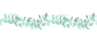 Green eucalyptus branches forming a horizontal banner, isolated. Seamless border, watercolor clipart. Ideal for use in invitation designs, stationery, or branding materials with a botanical theme png