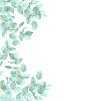 Eucalyptus leaves creating a half-frame along one side, with the other side left blank for text. Watercolor clipart frame, ideal for designing greeting cards, promotional posters, or business branding png