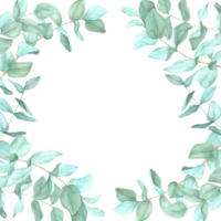 Arrangement of eucalyptus branches in soft green hues. Square frame template. Silver dollar eucalyptus watercolor clipart for creating frames, labels, save the date cards or wedding invitation borders png
